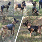 Tactical Military Dog Harness and Leash Set